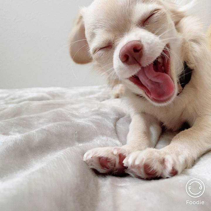 B5723604 f446 450a b3b7 d135a4e21ba9 1603850473848