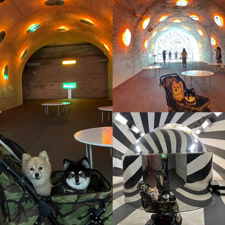 B5724454 5dbe 43ad 8ed9 4c8fe8a84ecc 1668919431025