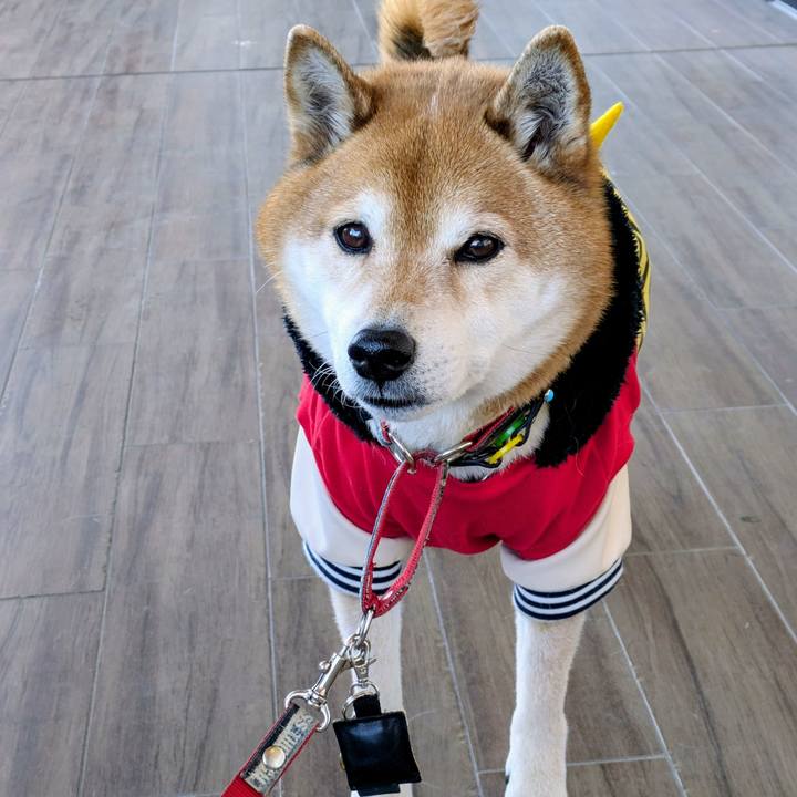 B57294e5 9cfa 4c46 960d 2cb2f9986911 1770021633318