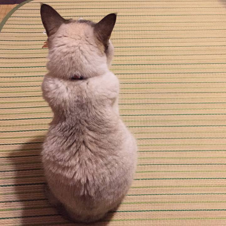 B5729ce5 d727 48d0 9c85 b0c0bd7e7e6d 1537539131291