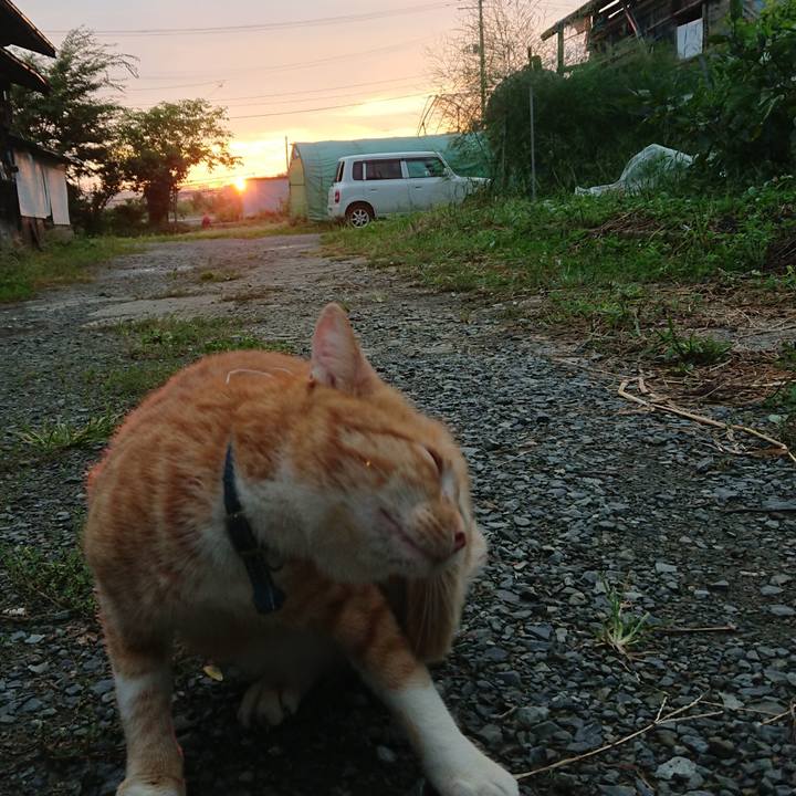 B572ae86 fca1 4082 890e 77e0c5a6b36f 1568061372633