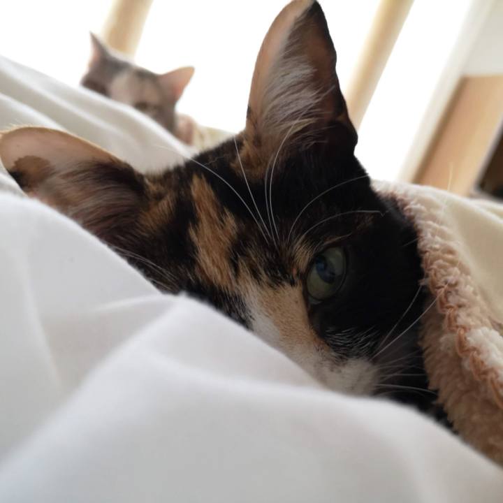 B572f555 25d2 4a5e be05 cc7144b38dd8 1606830951374