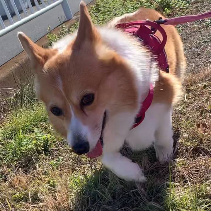 B573110f 439d 4ed1 b754 8c729464e890 1639976010149