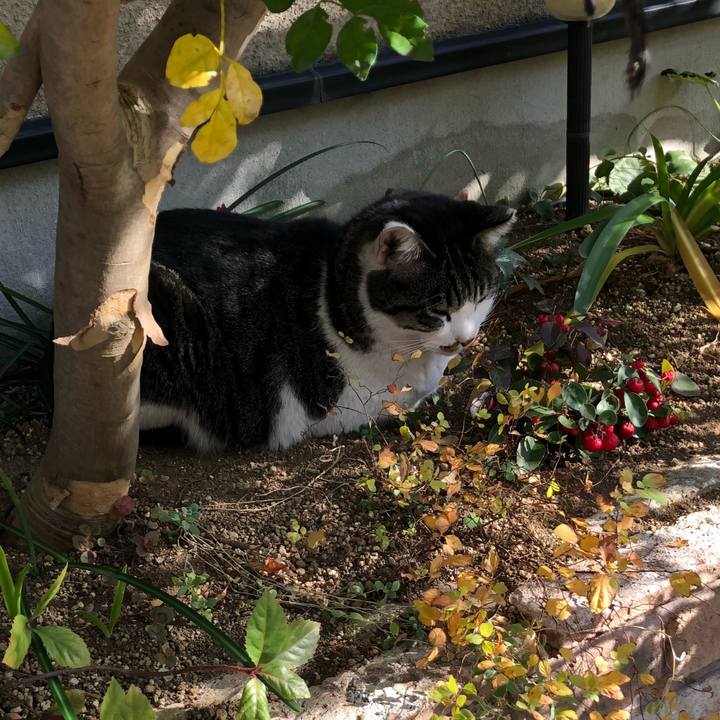 B5733032 aa3d 4baa bc0d 98aa539de10e 1513407013855