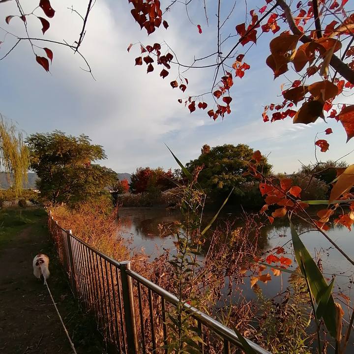 B5738d67 5ed1 4bd8 b7fd 429e31c3daa9 1605441771883