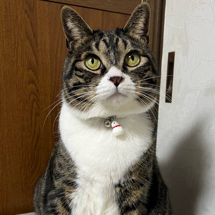 B5739ddc 0d4e 4eb2 98f1 3e80ef477b82 1770163390140