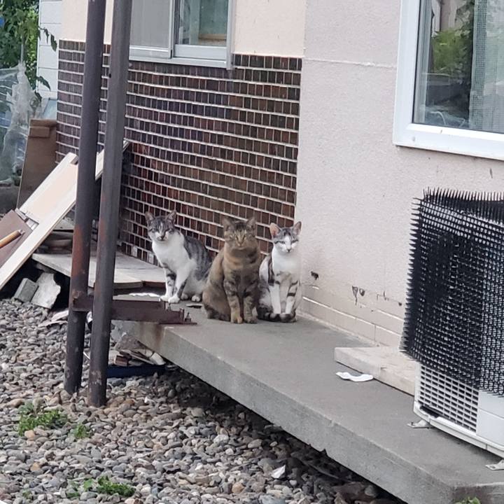 B573a105 00a4 476a b865 852e2570ed3d 1756128648977