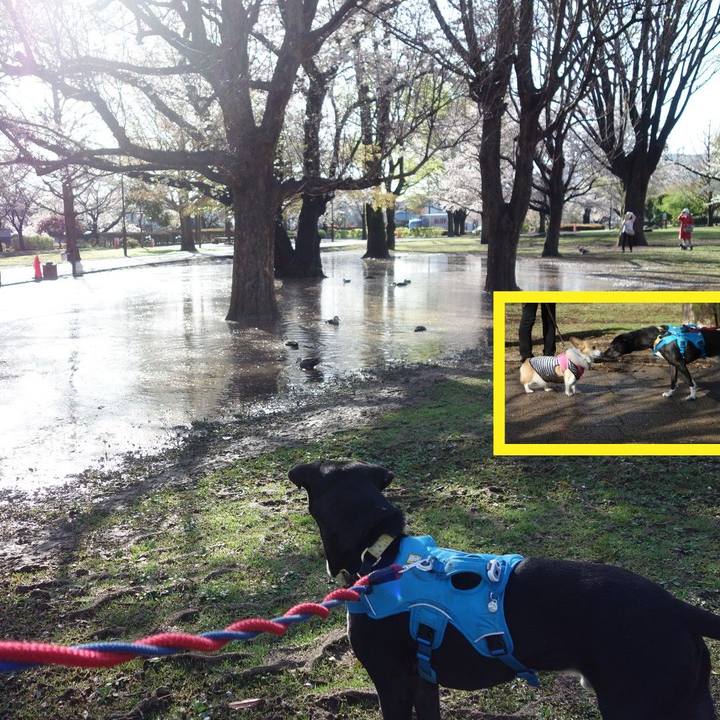 B573a785 99f9 49fe 8d6e e3e2ed9f0135 1616979586116