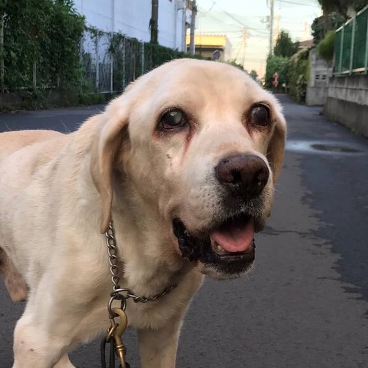 B573e005 cf09 48ec b06c ccb0199b918e 1507969709755