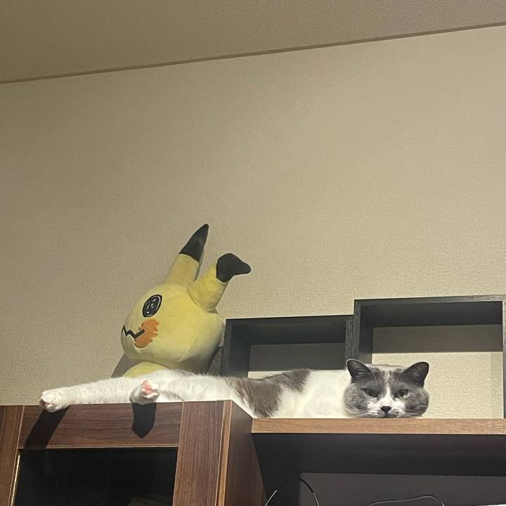 B5744c8e 0486 4aec 9475 2abcd87fd7d6 1686417477276