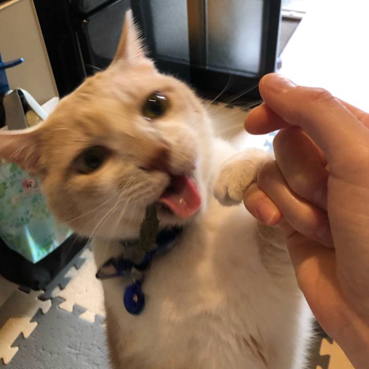 B574554c 2474 4a14 bc71 2a558e95b3a9 1549494874832