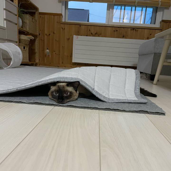 B5746a76 0c77 4442 b74f b9afb500528e 1723145753880