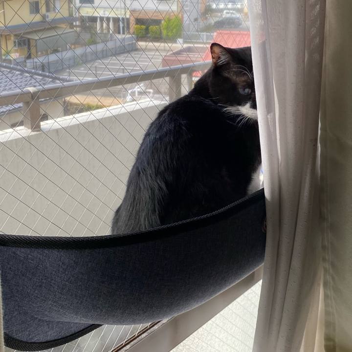 B5747b06 2fb5 43e3 bd6f 8660aab35400 1606224688216