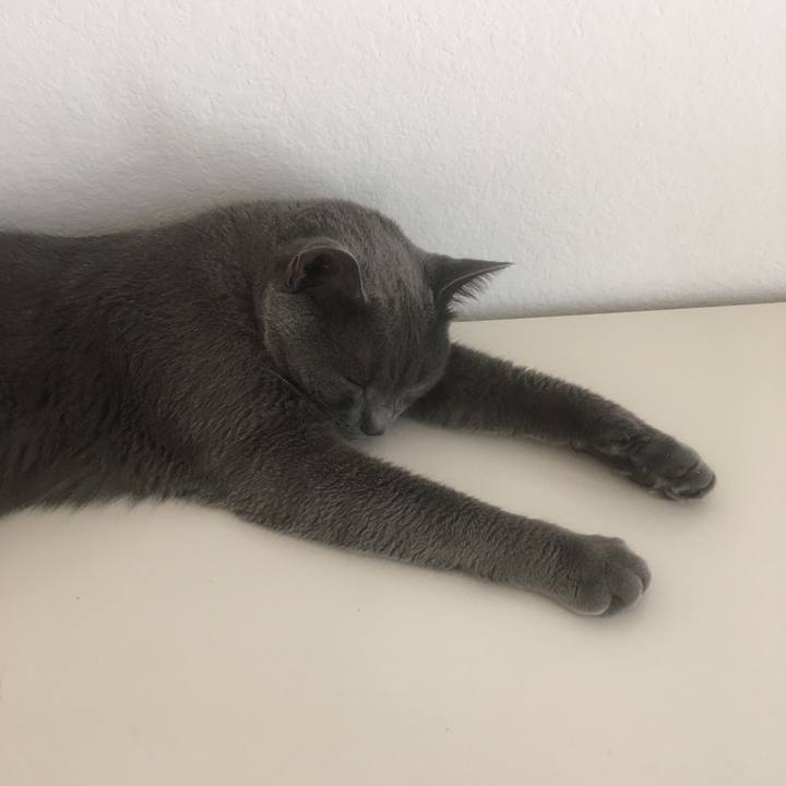 B574bbc0 714f 428b 9d5c 250505b60f14 1660869196778