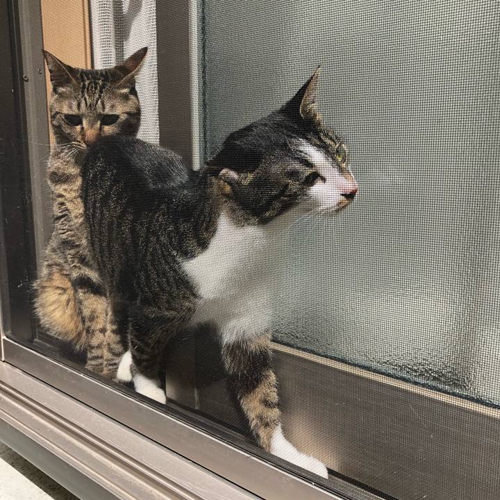 B574c9a2 9d0d 4cfe 9760 ede4a7f23468 1522528425963