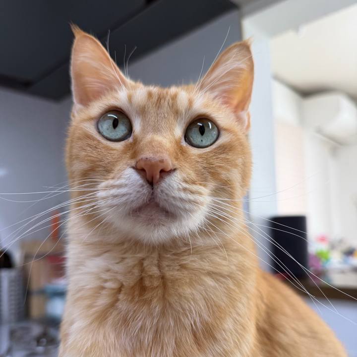 B5751c45 de5f 4470 8bcb 9498af7421ad 1767836557288