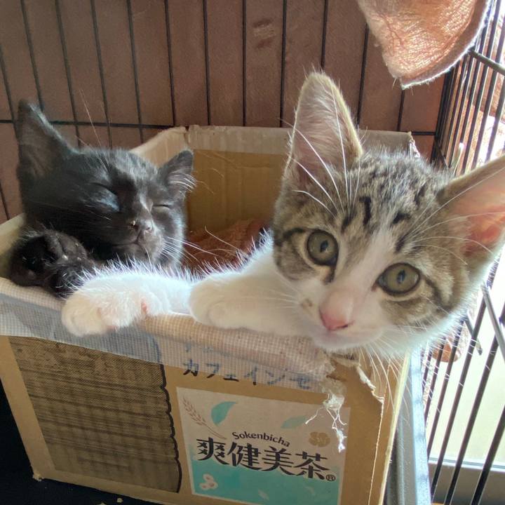 B575351b e2d8 40e1 92b9 18294a7bee0e 1751677757247