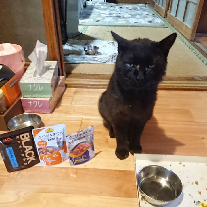 B575372b 1d07 41fc ab33 66eb97918d0f 1623580209774