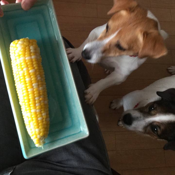 B5755457 d047 4b91 8842 2aeee3548af2 1560670795312