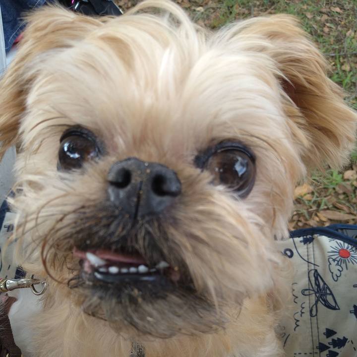 B5755c09 d62f 49f5 a06a 9ec14db89427 1601186612174