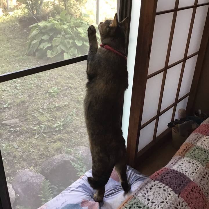 B5757c17 0e58 47e7 9fb0 e09ac62f0477 1603178957469