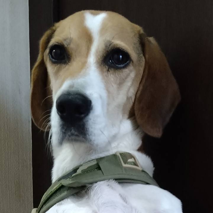 B57586ec 7621 4f70 afca 848e4cd21144 1667056953219