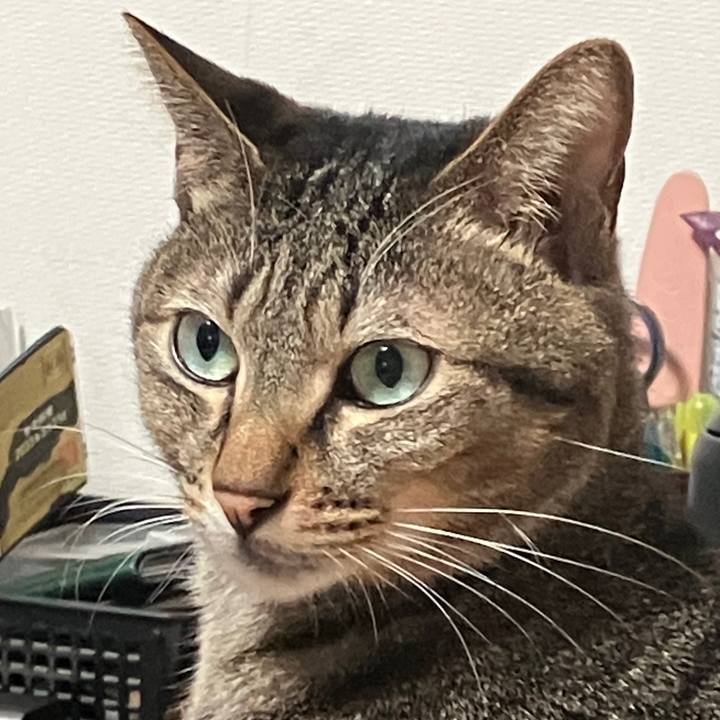 B575bb6f 8f04 4604 9f52 1e56906ffdd3 1764630551293