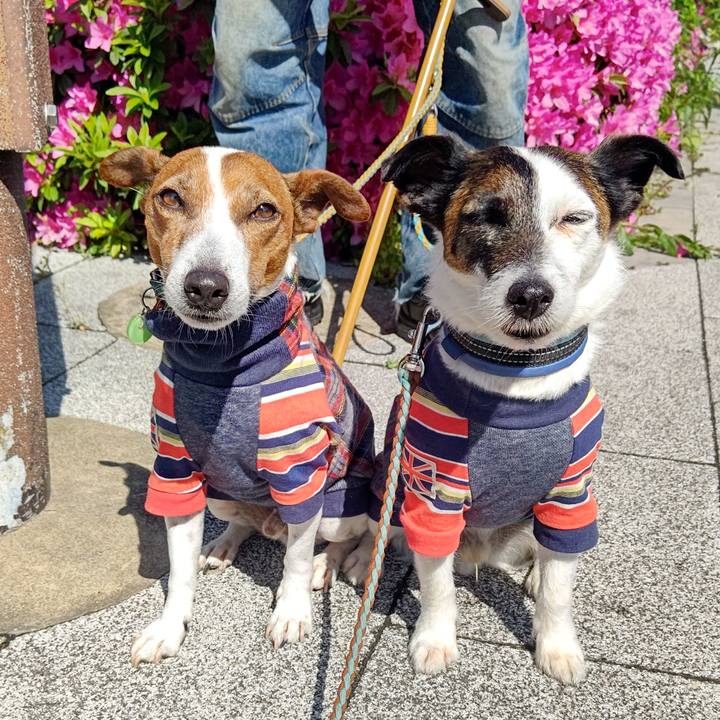 B575c72c eb77 4b24 a12a 3d6de0cb6434 1714608095080