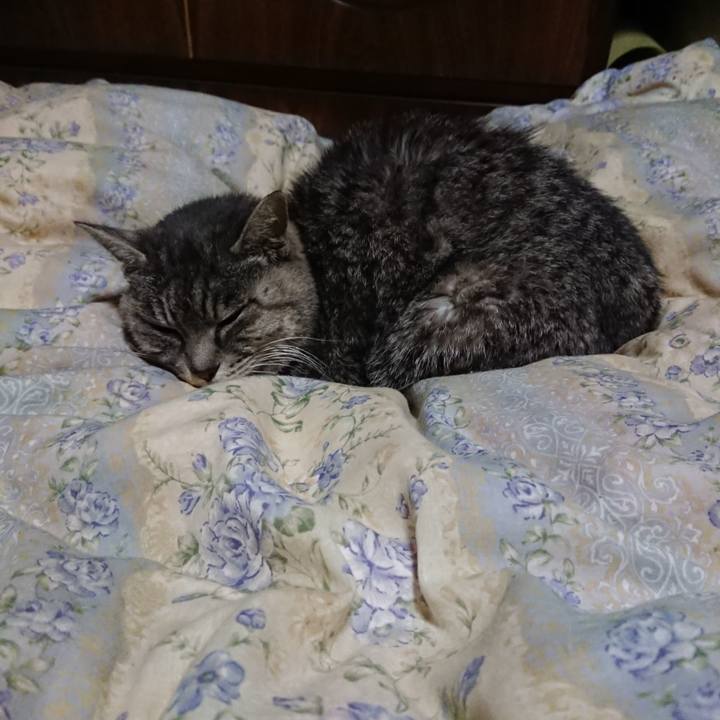 B575ce84 2e10 4590 887c 2e7a9ac079cd 1580297209535