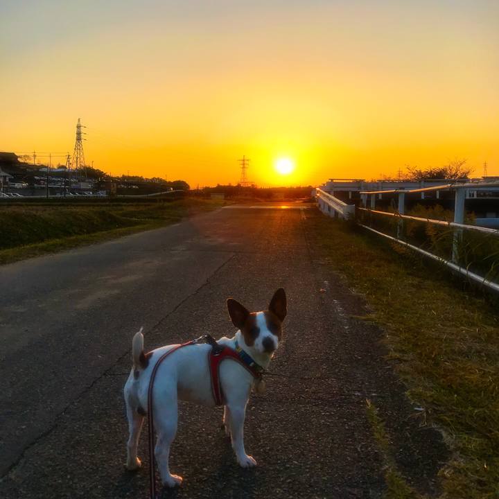 B575d95b 94f4 44ee 837c ac2e5f3b11cc 1510220505782