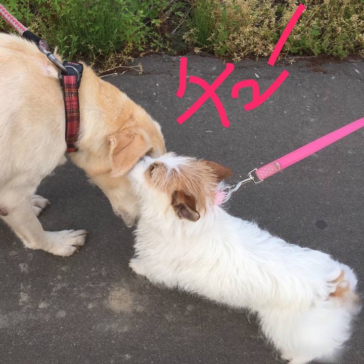 B575db4e a0f8 493e 98fe 4789fee93282 1549366248662