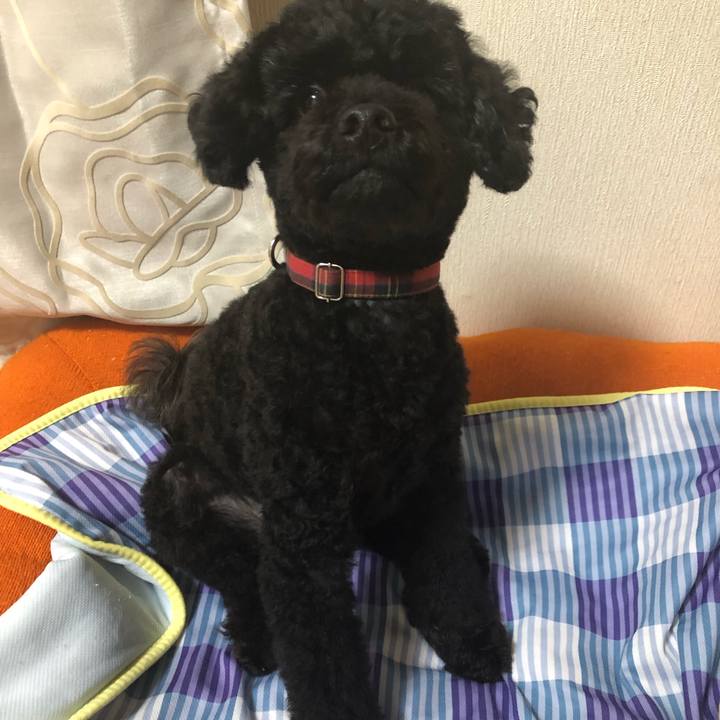 B575e253 e000 489b 8bc8 2eeaf7041870 1564453804551