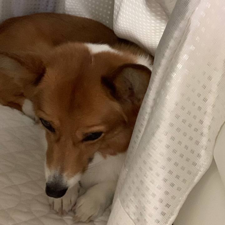 B575fad8 4aa0 4f4b 9fea ce0ed724fc75 1575176174856