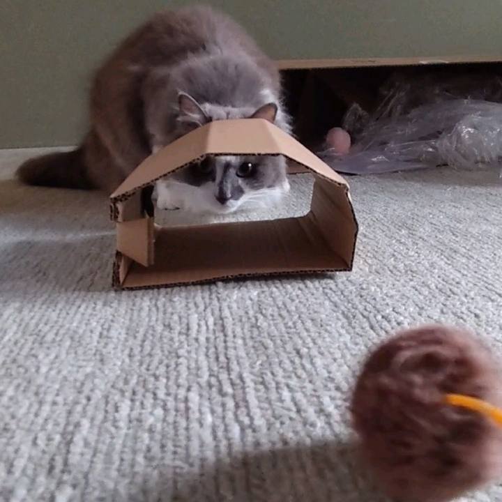 B5762240 cce5 4ceb b11f b2a9318500fb 1657958350342