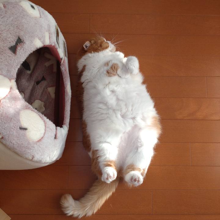 B5763a3d c32b 4504 9bad 6a5187e9ee15 1766576132326