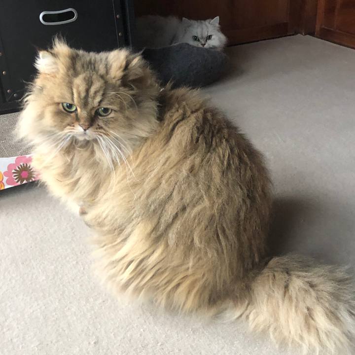 B57663b3 e55b 4785 bf80 a92897103860 1611360171485