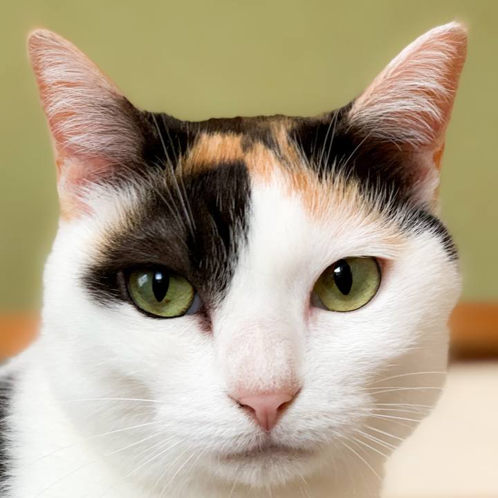 B5767095 09b7 4422 a7ed da1bf62b816a 1592009930989