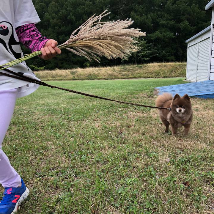 B5769e01 9c9b 4fba 8ecf b2ec60e7f1c2 1628920659225