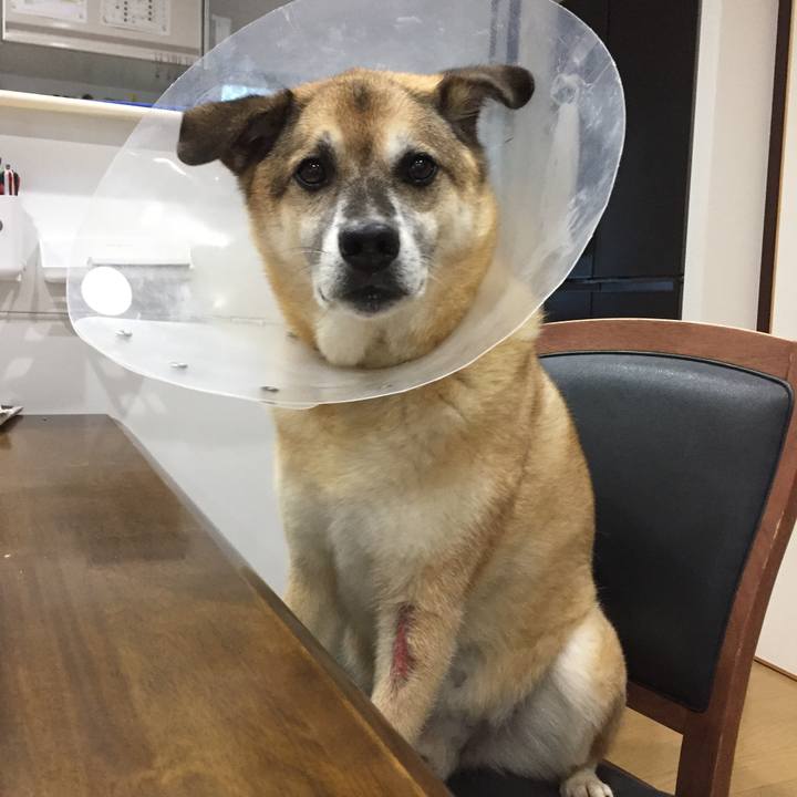 B576d707 99c2 48a8 80b7 1819fe90237d 1599298274915