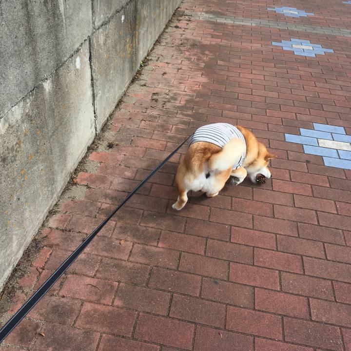 B57725c4 08e5 494d a41a 1e3d865d98d5 1540005279166