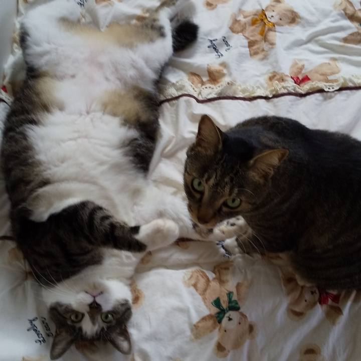 B57727c7 3197 488b bf8a 1d0b3a4738d5 1657071176039