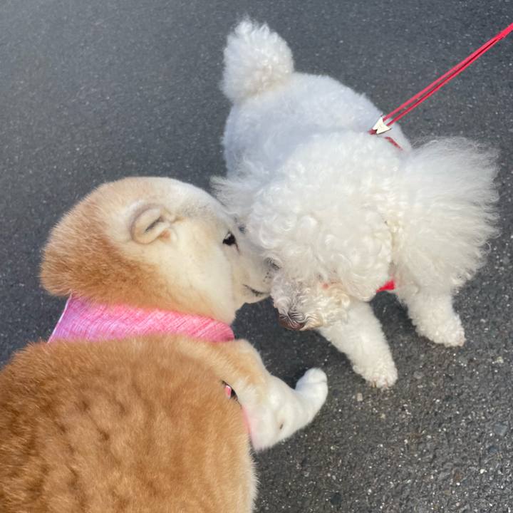 B5774e39 6774 44ac 840c 6a985387f19c 1656632047991