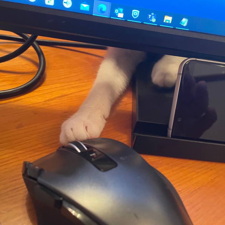 B5777565 871d 4201 881c 2da8af00ca2a 1663986807463