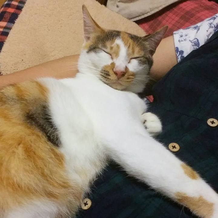 B577ccaf 7914 449a b132 0f8fd4302321 1507979293936