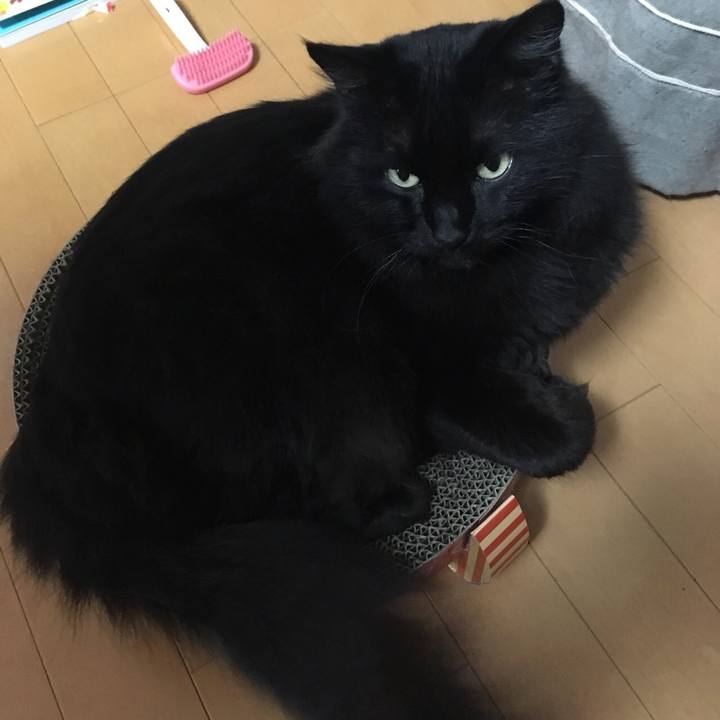 B577f906 2301 4e8e 8277 25285984adf0 1528886304009