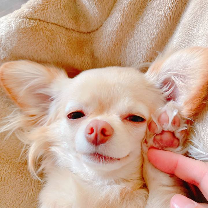 B577fa83 e13c 423a baf1 adcbec25fb66 1646034868378