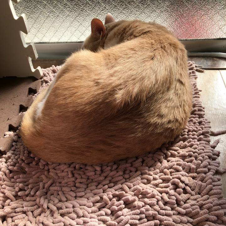 B577fe42 acb6 4e6b 8655 b52f15ed1589 1520727649527