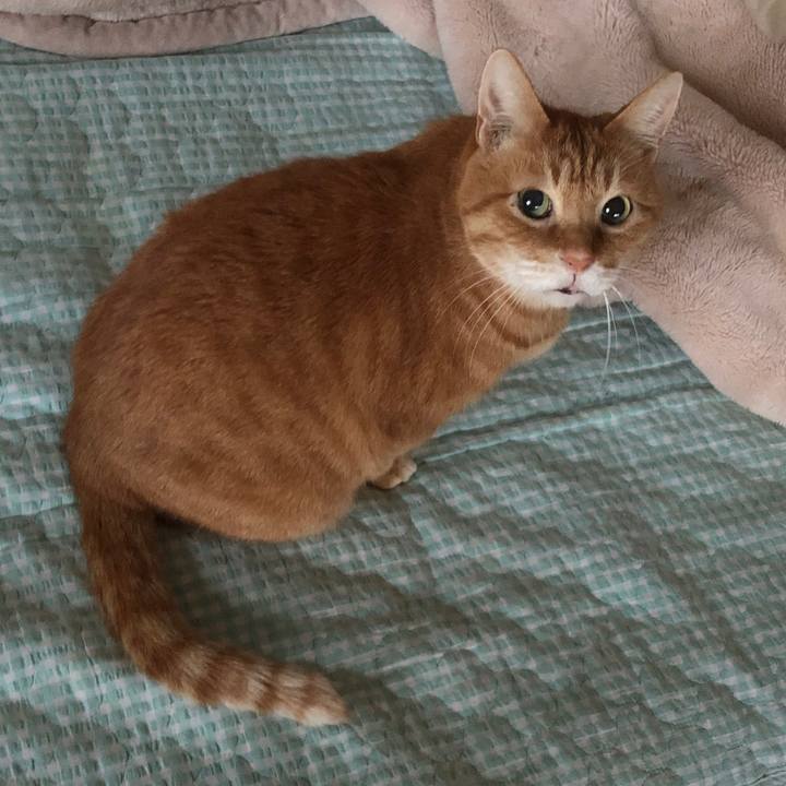 B578021e 62cc 47af b592 765016f3f66b 1731588882236