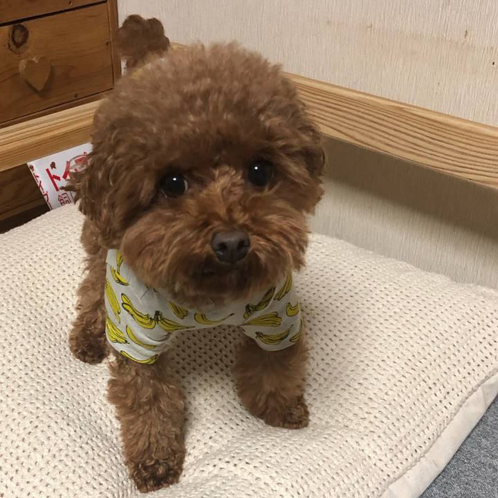 B5780a02 24df 4199 a3f8 f47072e24abc 1572861074061