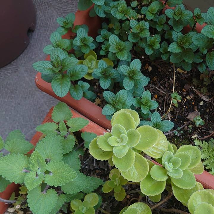 B578510b 8974 4e7c 8233 2bcd964db2e2 1586297519005